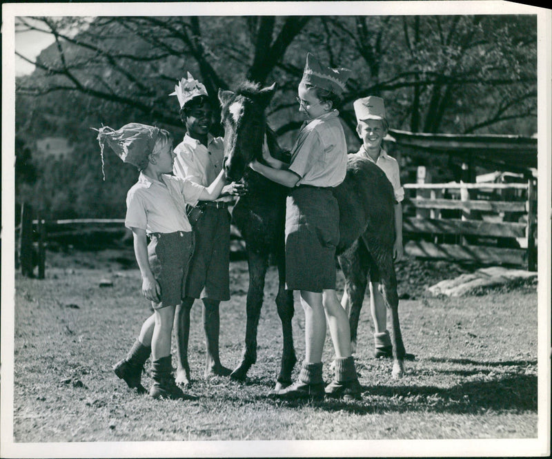 Bush Christmas, Ralph Smart - Vintage Photograph