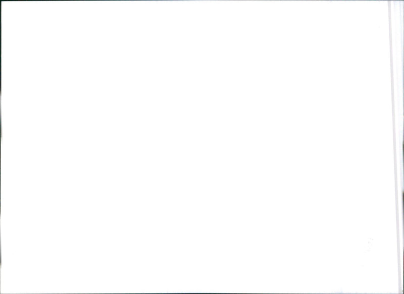 1993 Citroen ZX - Vintage Photograph