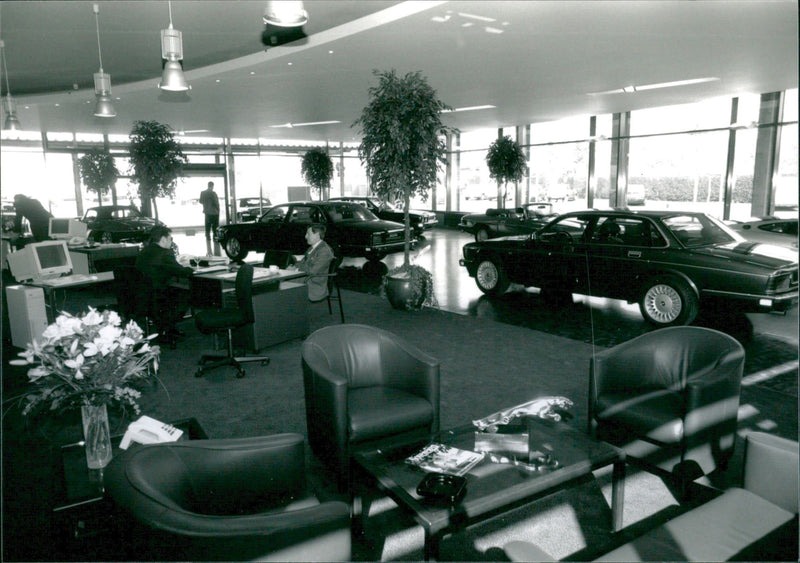 Vintage Cars - Vintage Photograph