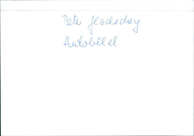 Jaguar - Vintage Photograph