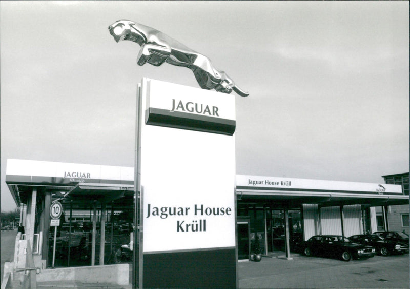 Jaguar - Vintage Photograph