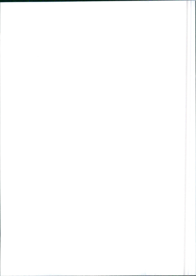 Hyundai Watch Scoupe 1500 LS - Vintage Photograph