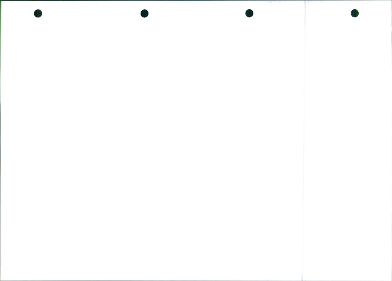 Mégane - Vintage Photograph