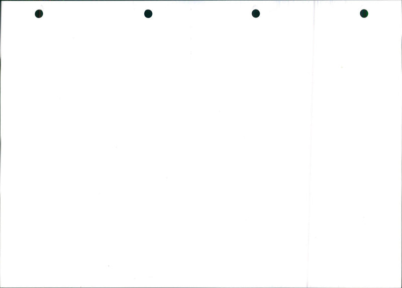 Mégane - Vintage Photograph