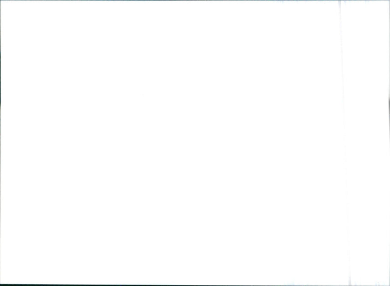 Citroen ZX Aura 3 Turer 1993. - Vintage Photograph