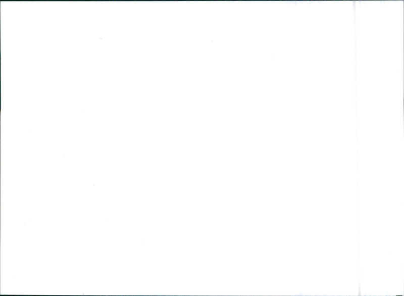 Citroen ZX Furio 1993. - Vintage Photograph