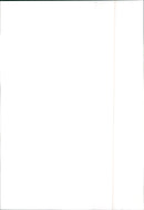 Mazda 929 - Vintage Photograph