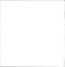 1996 Volkswagen Beetle - Vintage Photograph