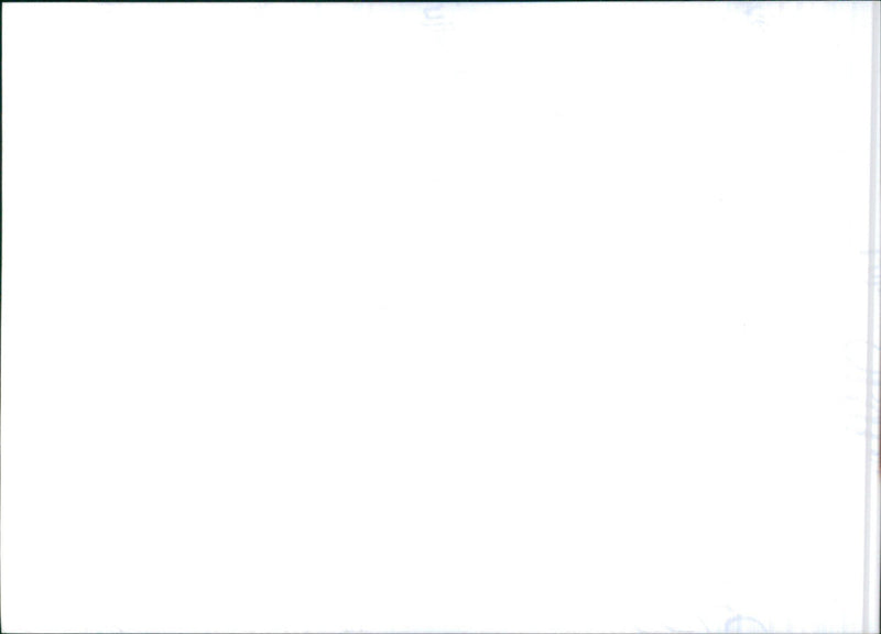 Subaru - Vintage Photograph