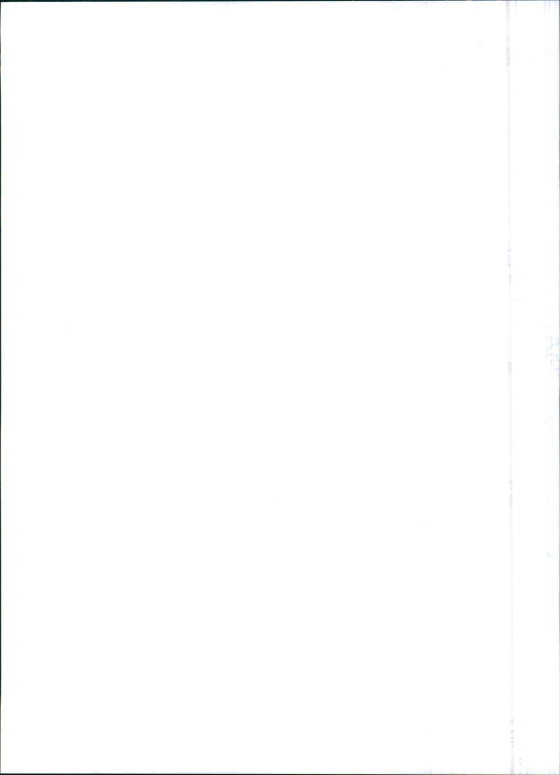 2000 Alfa Romeo 147 - Vintage Photograph