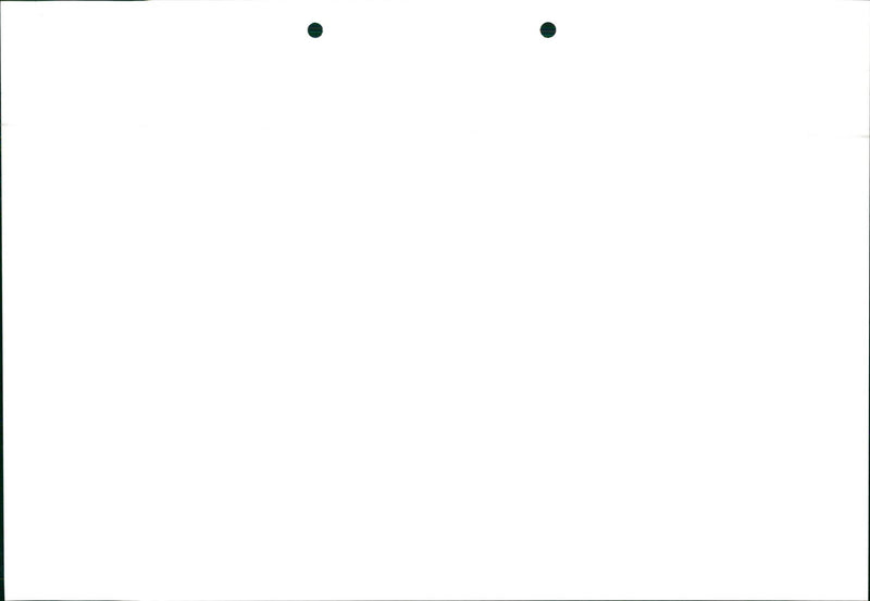 Honda Civic - Vintage Photograph