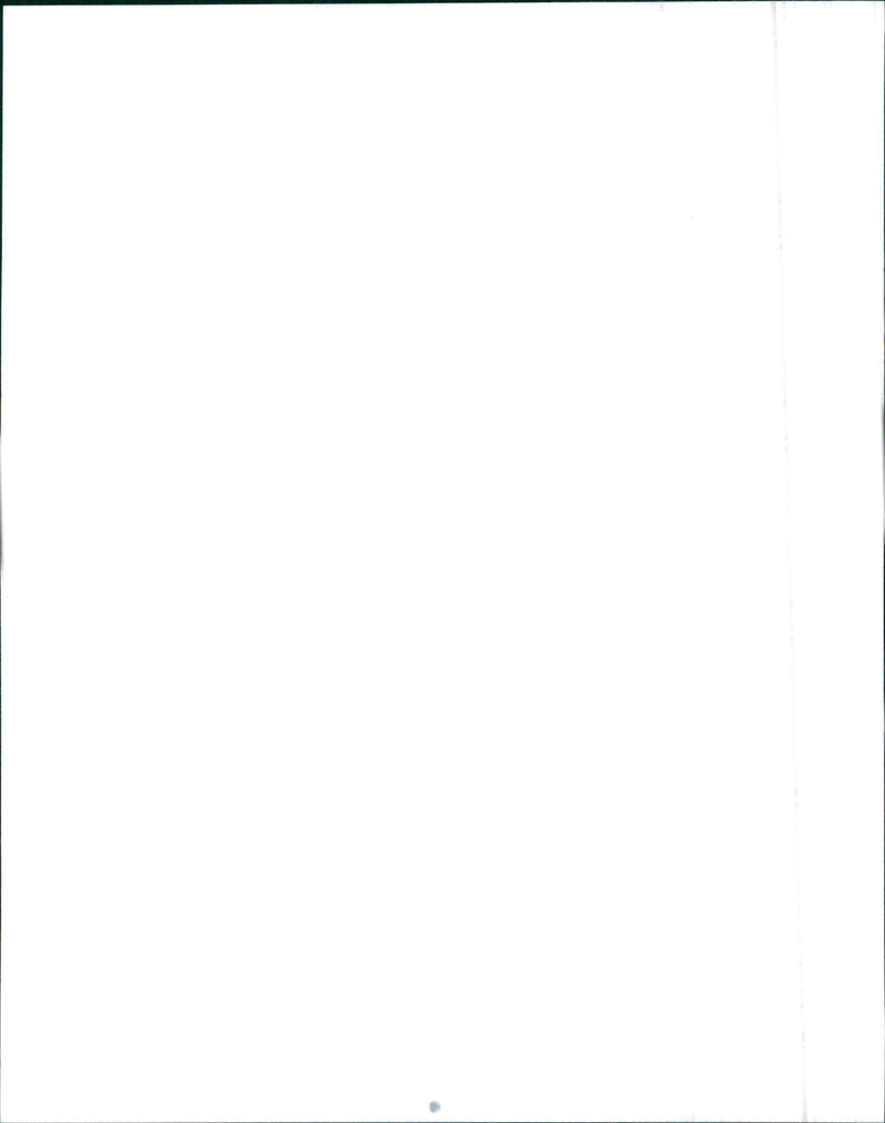 1995 Nissan 4x2 XE truck and 1995 Nissan 4x4 SE-V6 truck - Vintage Photograph