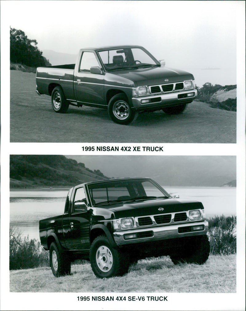 1995 Nissan 4x2 XE truck and 1995 Nissan 4x4 SE-V6 truck - Vintage Photograph