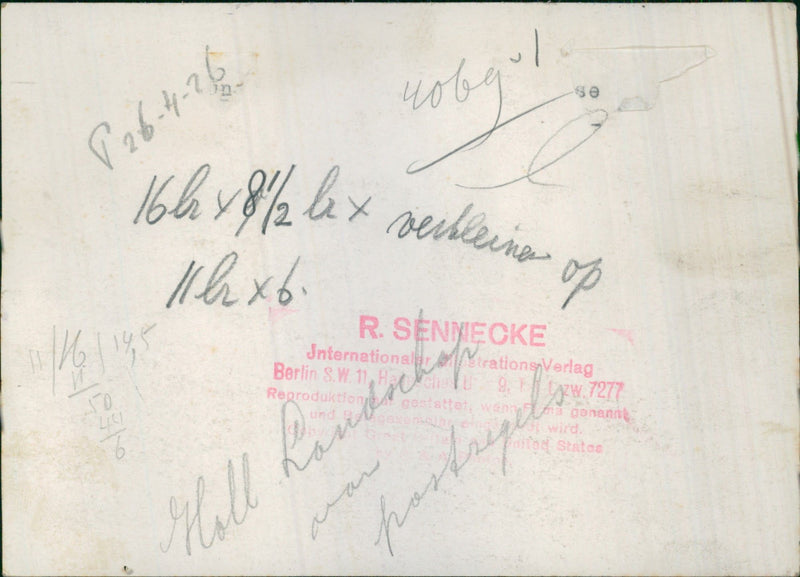 Dutch landscape on post stamps. - Vintage Photograph