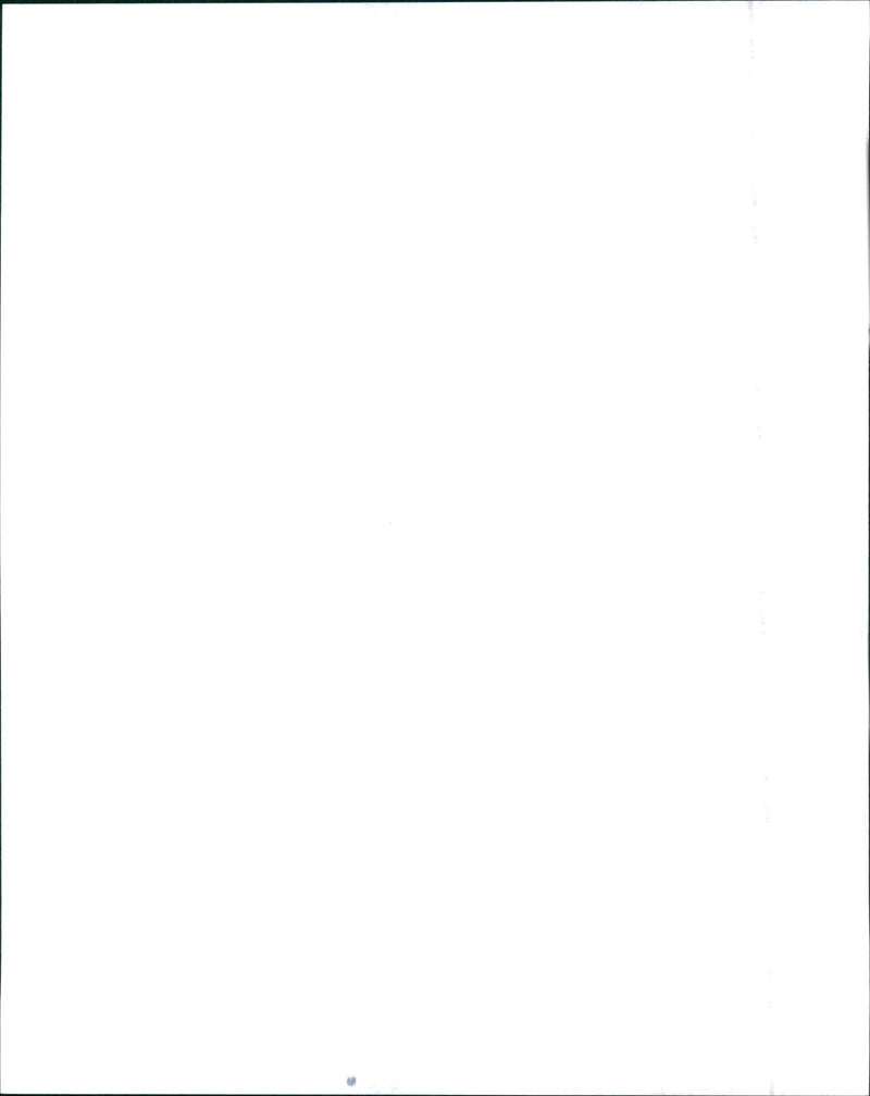 1995 Nissan Maxima GLE - Vintage Photograph