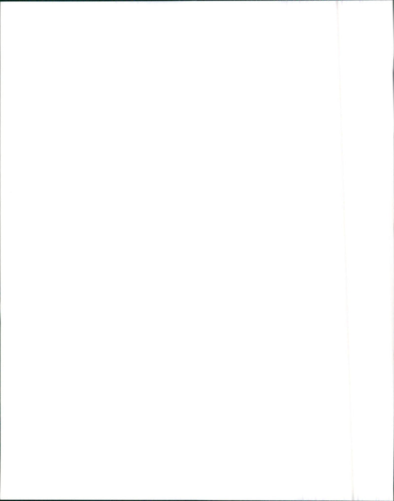 1995 BMW 525i / 1995 BMW 530i - Vintage Photograph