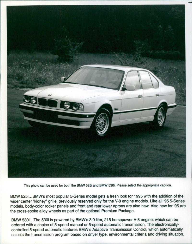 1995 BMW 525i / 1995 BMW 530i - Vintage Photograph