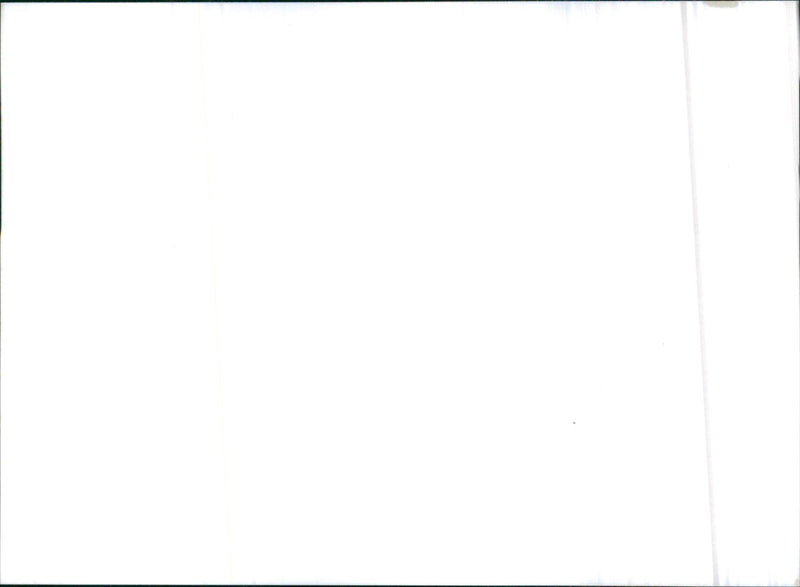 1993 Daihatsu Rocky Wagon - Vintage Photograph