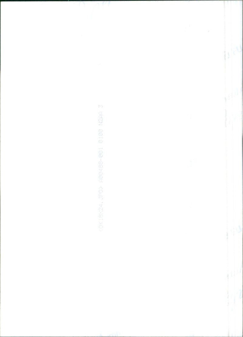 Tata Safari - Vintage Photograph