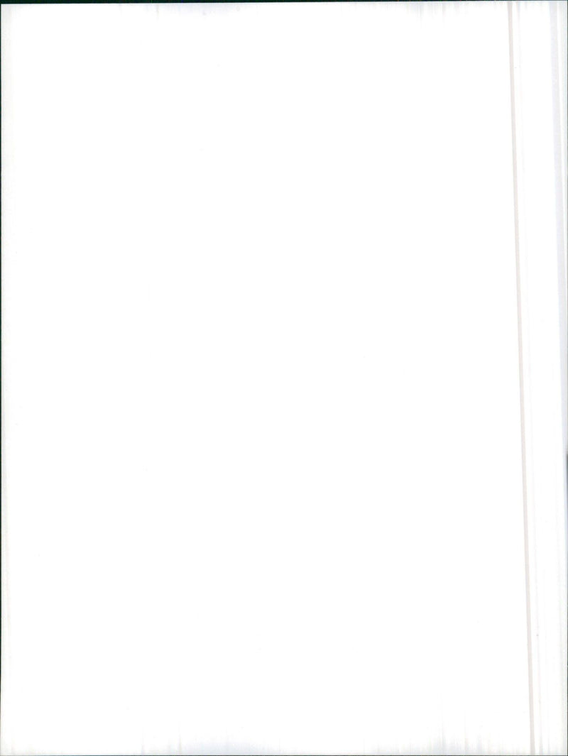 1986 Alfa Romeo Arna SL - Vintage Photograph