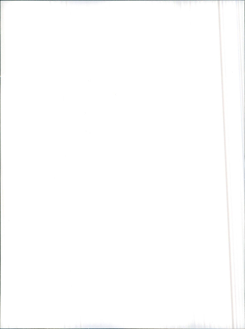 1986 Alfa Romeo Arna SL - Vintage Photograph