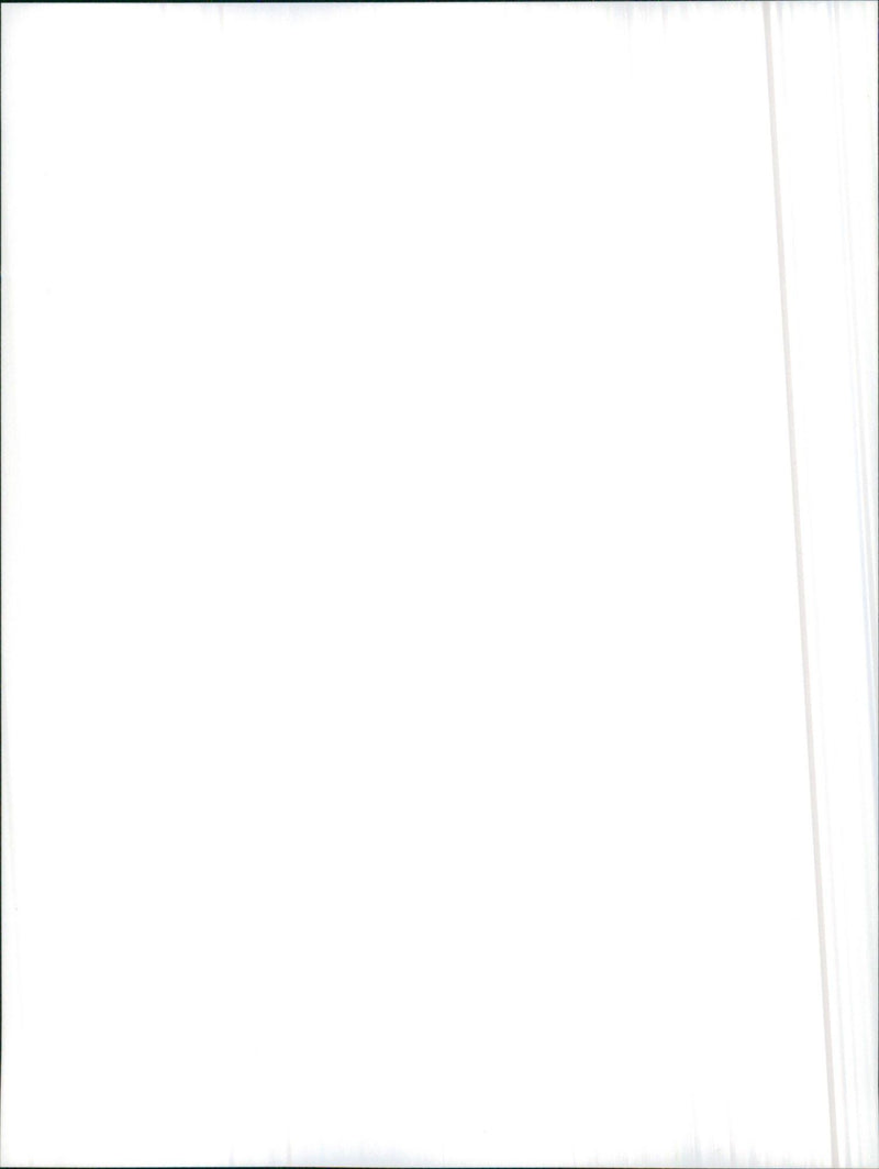 1986 Alfa Romeo 33 1.5 4x4 - Vintage Photograph