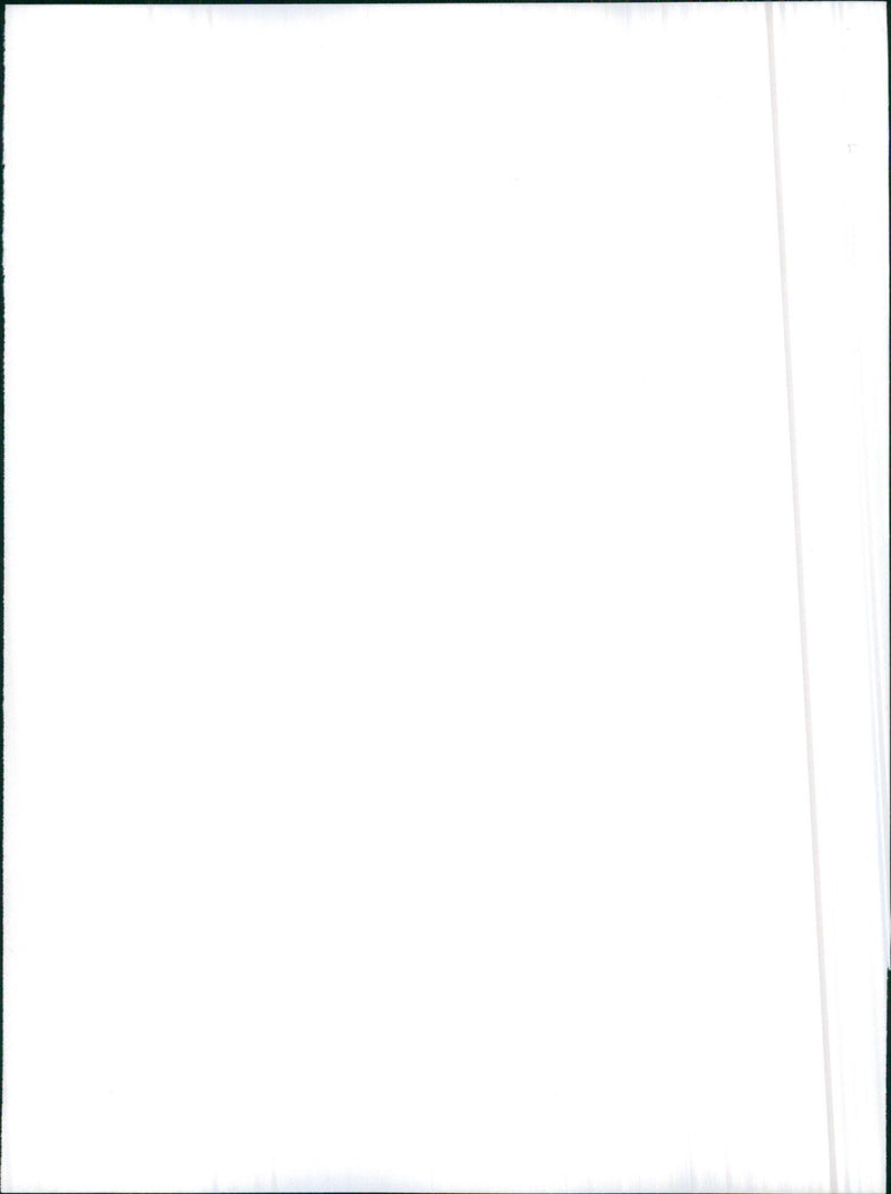 1986 Alfa Romeo 33 1.5 4x4 - Vintage Photograph