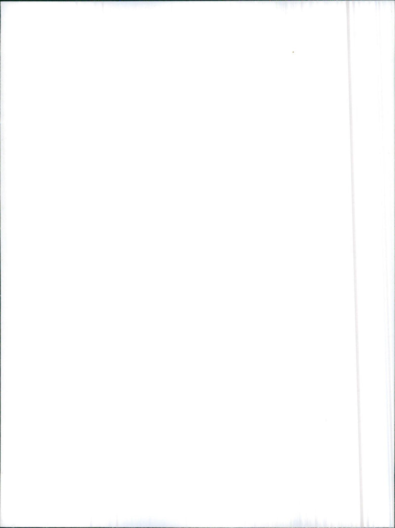 1986 Alfa Romeo 33 1.5 4x4 - Vintage Photograph