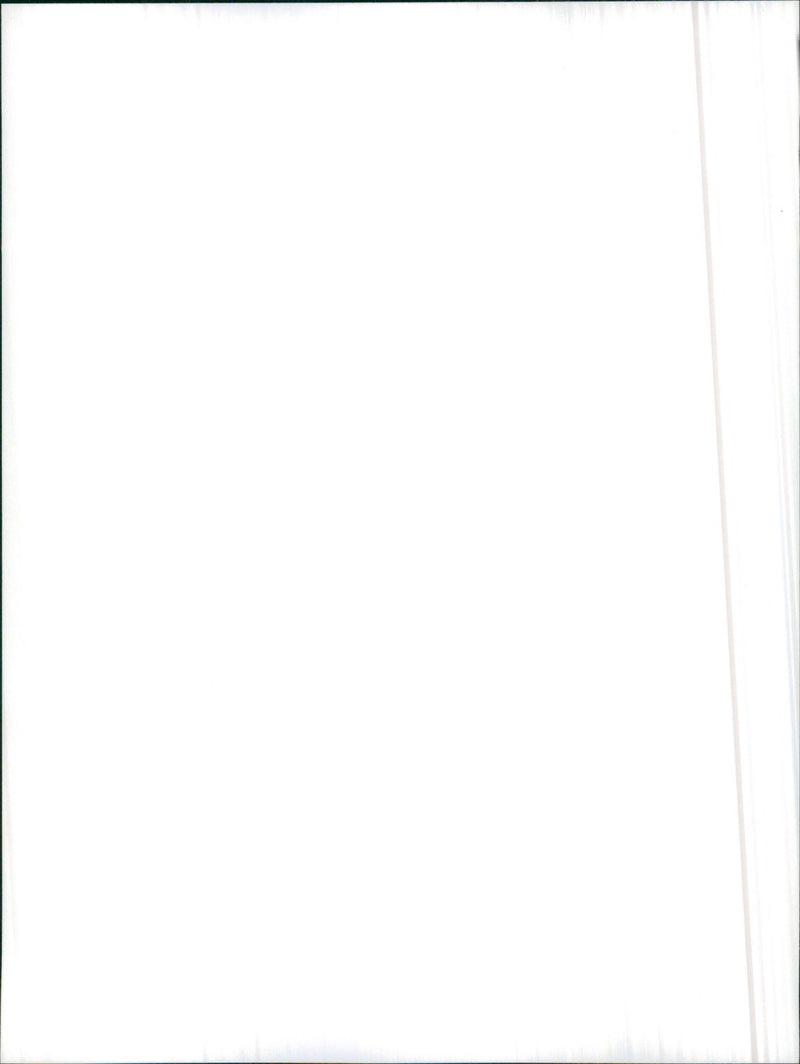 1986 Alfa Romeo Arna SL - Vintage Photograph