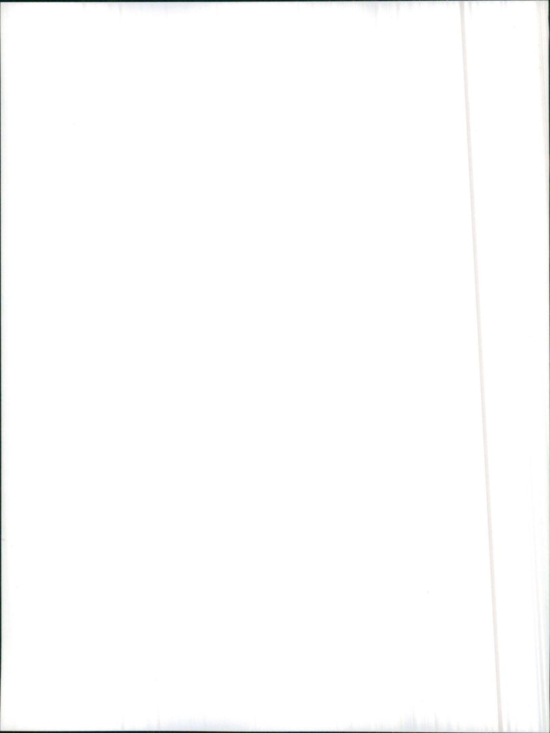 1986 Alfa Romeo Arna SL - Vintage Photograph