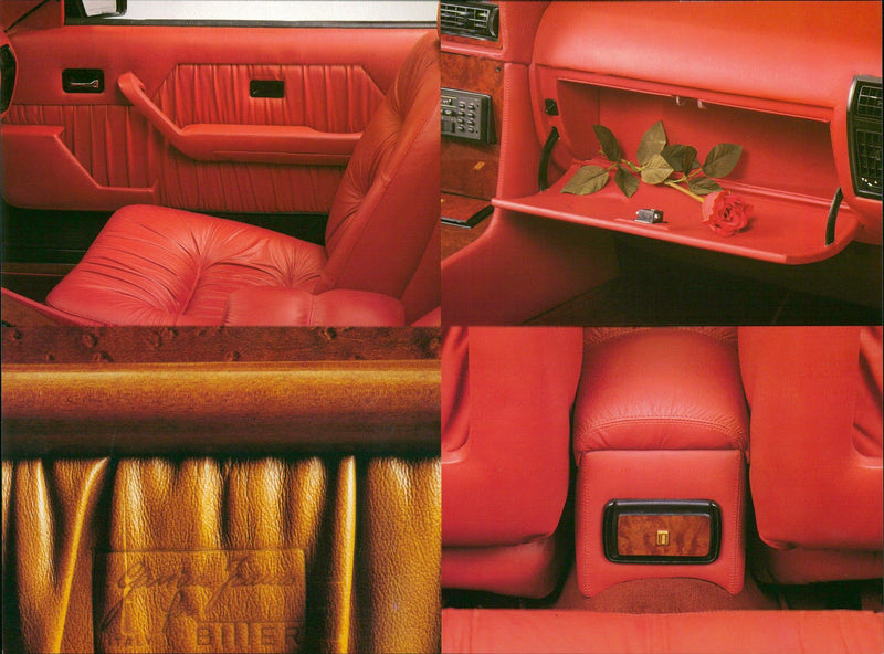 Bitter-Automobiles - Vintage Photograph