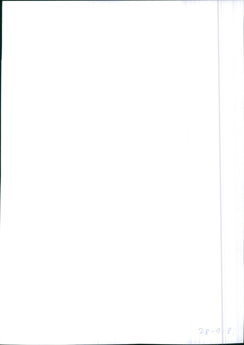 1982 Toyota Camry - Vintage Photograph