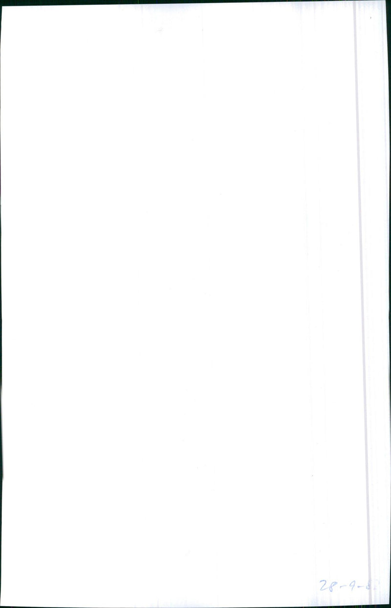 1982 Toyota Camry - Vintage Photograph