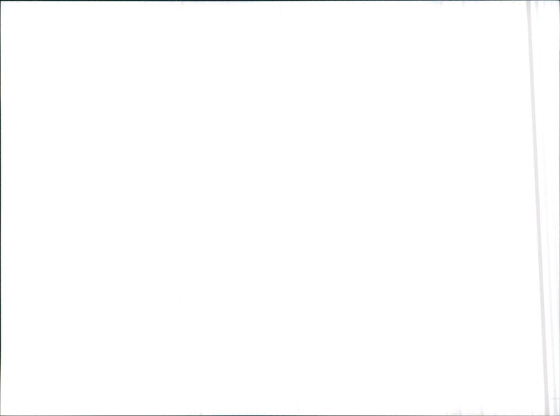 RB20DET TWIN CAM 24-Valve Turbo Engine - Vintage Photograph