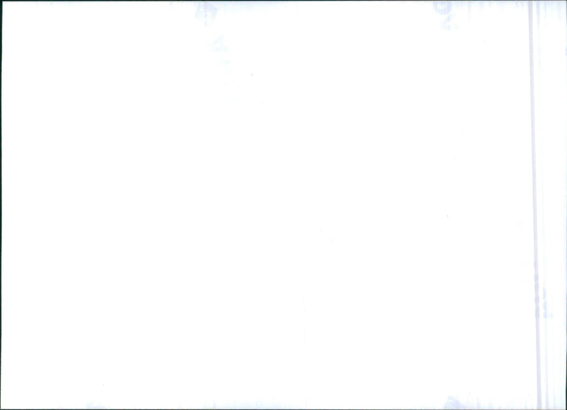 Nissan - Vintage Photograph