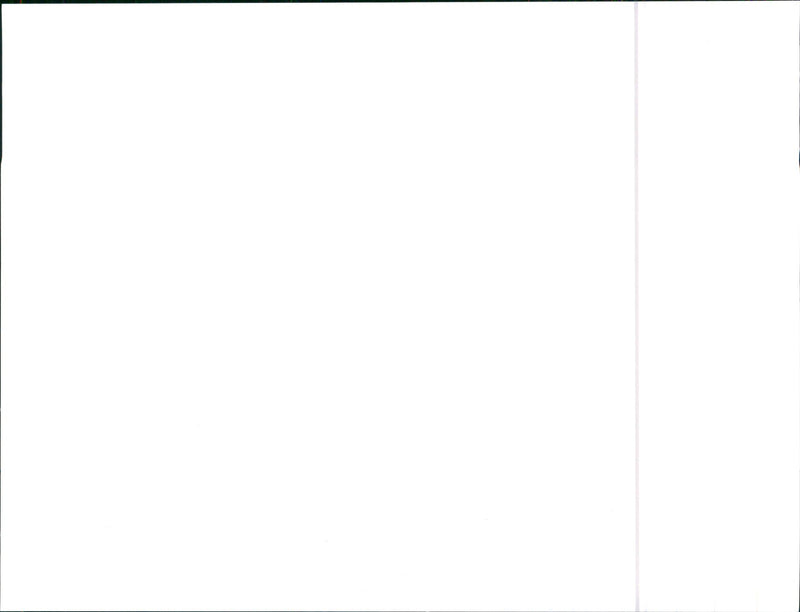 Audi 100 - Vintage Photograph