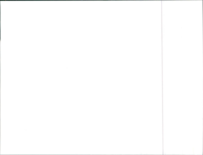 Audi - Vintage Photograph