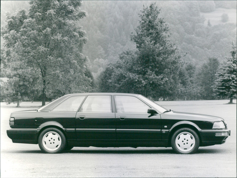 Audi V8 Lang - Vintage Photograph
