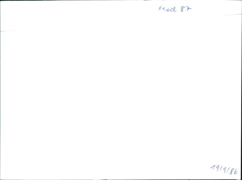 Audi 80 - Vintage Photograph