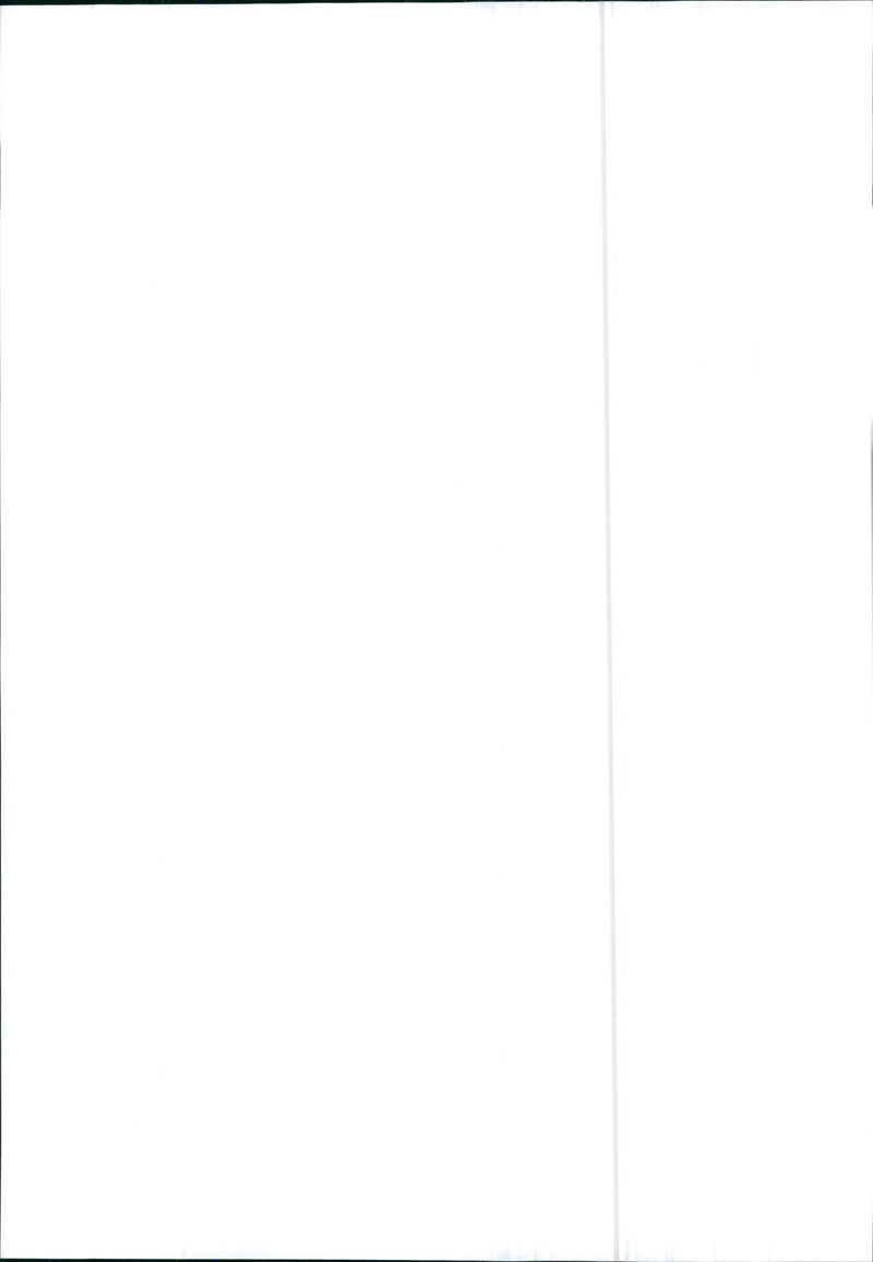 Alfa Romeo 90 - Vintage Photograph