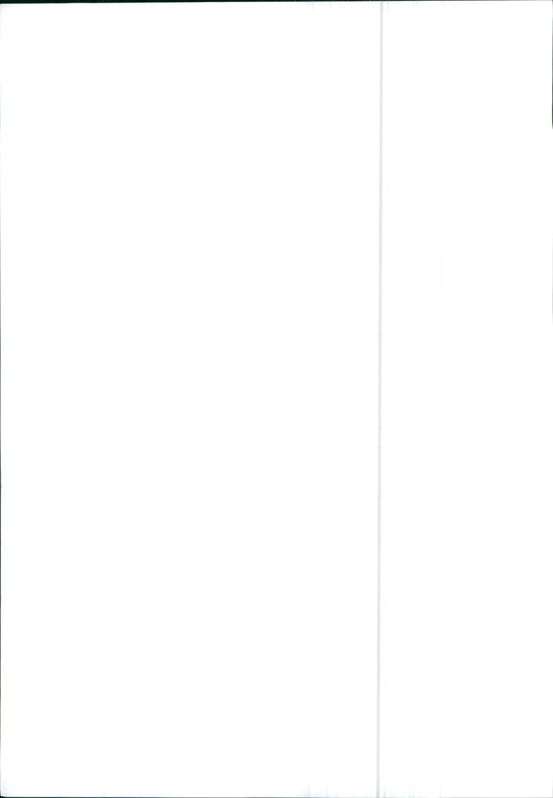 Alfa Romeo 90 - Vintage Photograph