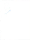 1985 Alfa Romeo 90 - Vintage Photograph