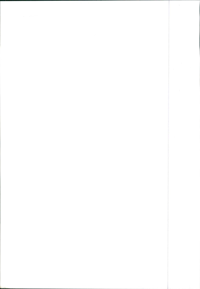 1990 Bentley - Vintage Photograph