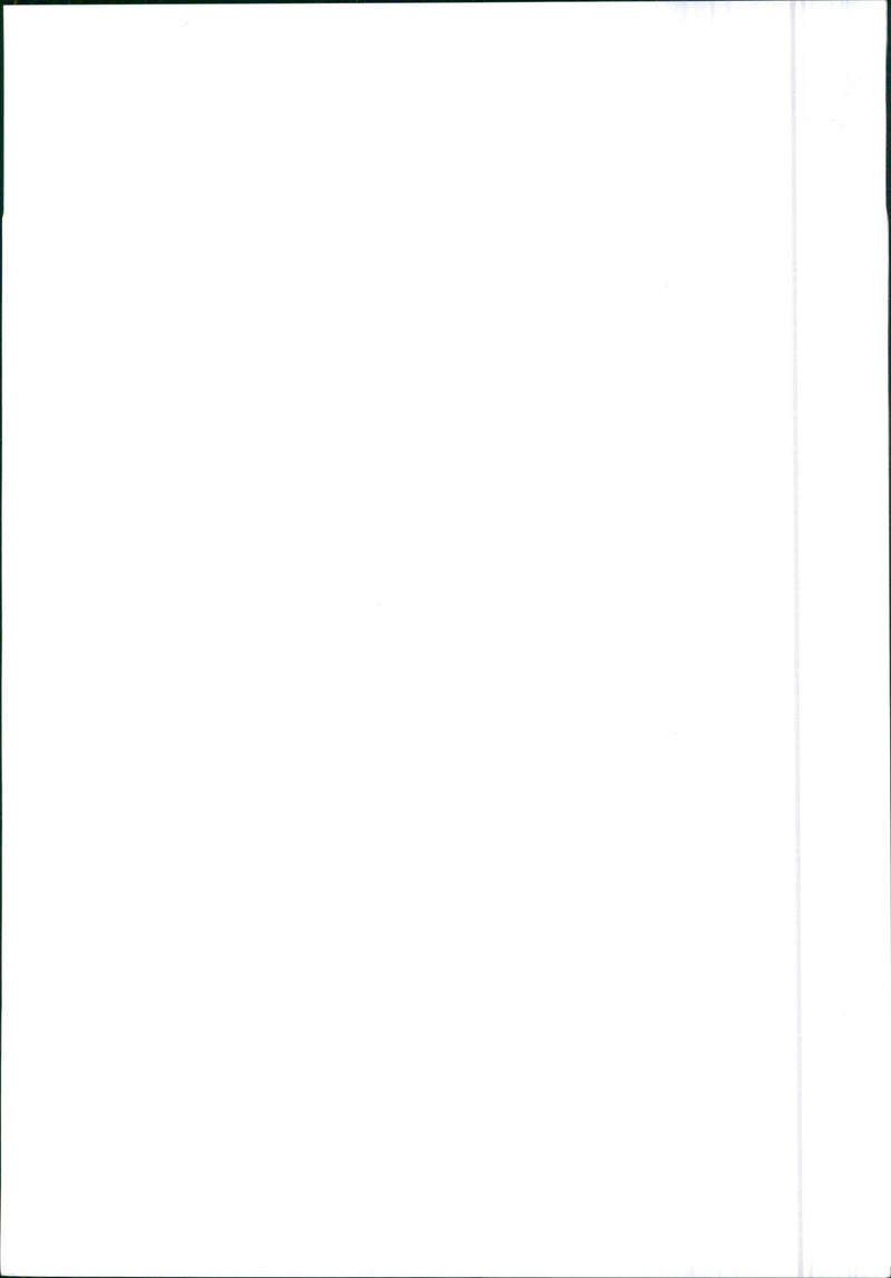 1990 Rolls Royce - Vintage Photograph