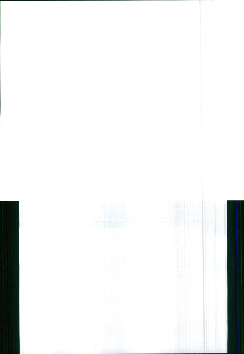 1990 Rolls Royce - Vintage Photograph