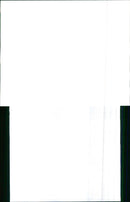 1990 Rolls Royce - Vintage Photograph