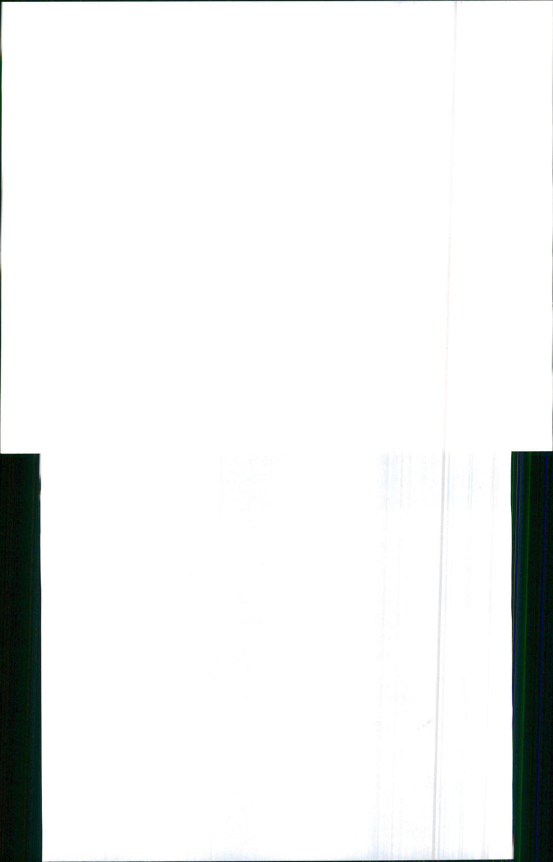 1990 Rolls Royce - Vintage Photograph