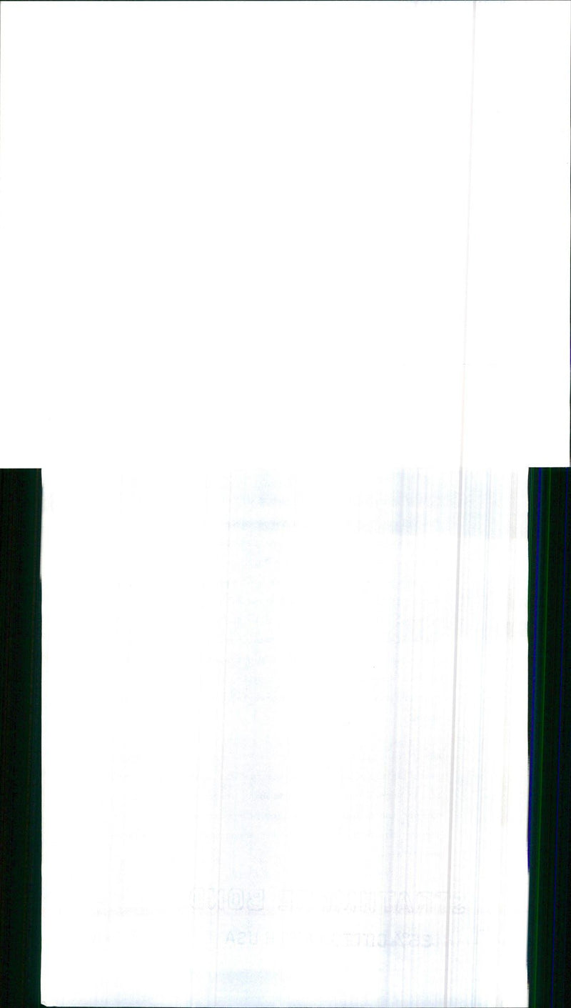 1990 Bentley - Vintage Photograph