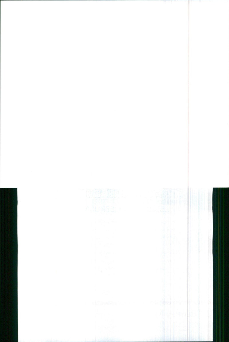 1990 Rolls Royce - Vintage Photograph