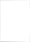 Fiat Panda - Vintage Photograph